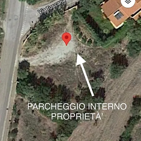 Oleandri- Oleandro Rosso SantʼAnna Arresi