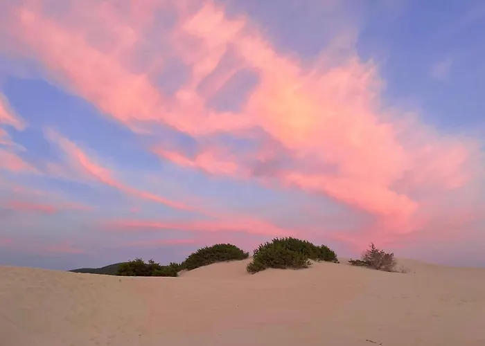 Ferienhaus Oleandri- Oleandro Rosso SantʼAnna Arresi